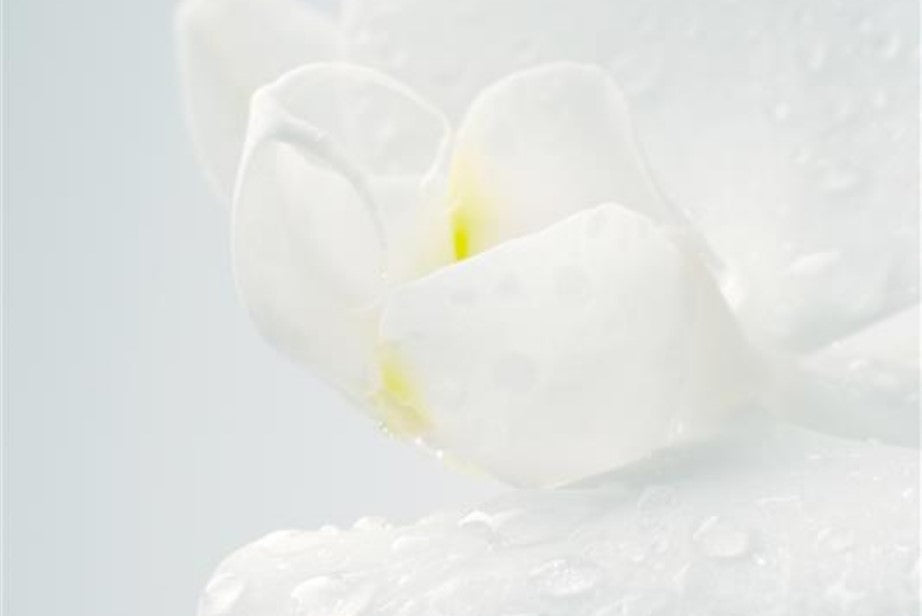 SeneGence