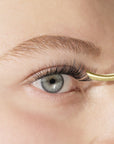 lashsense-blooming-bond-lash-adhesive