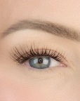 LashSense® Lashes Bloom Box