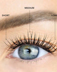LashSense® Lashes Bloom Box