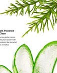 Aloe Nail Revive Treatment