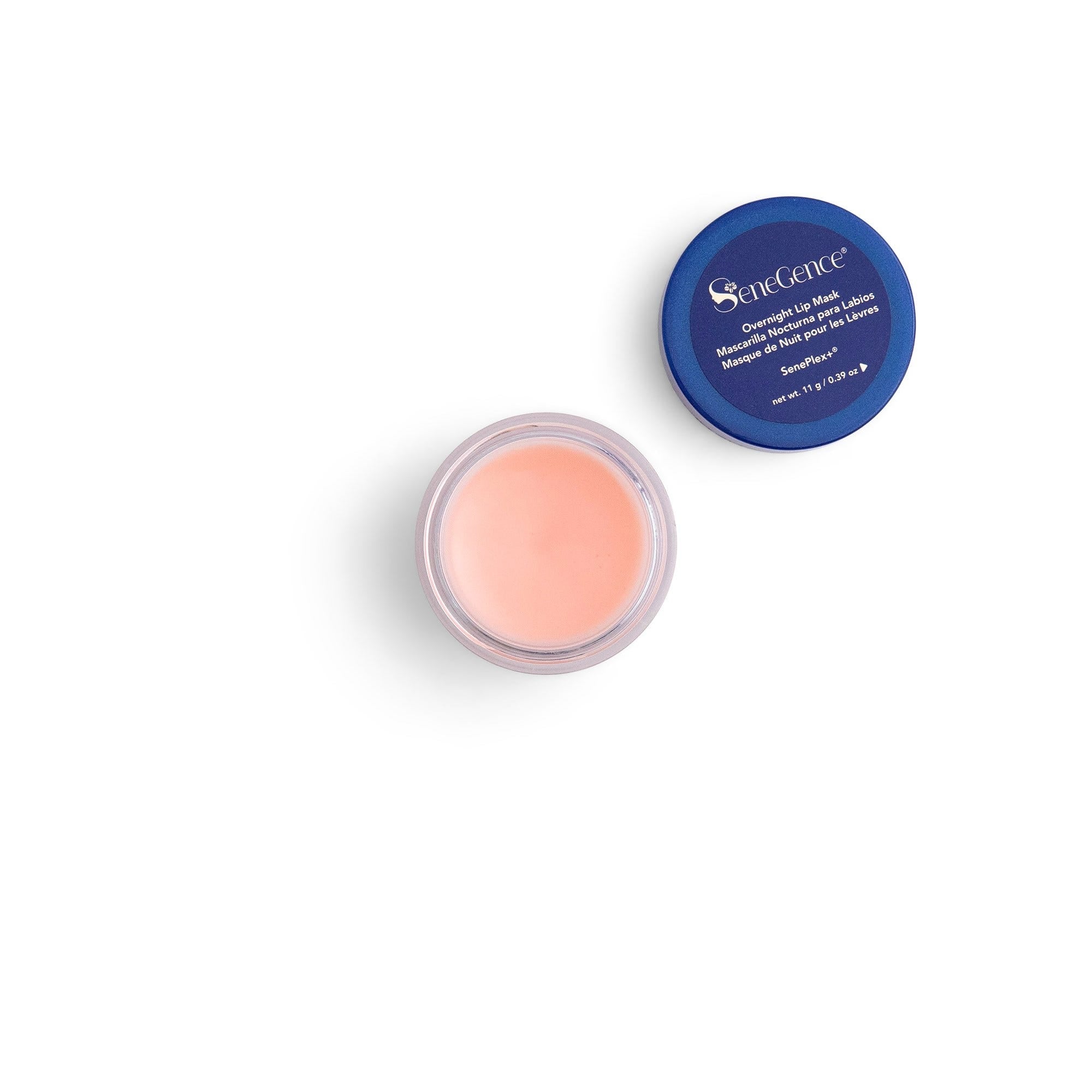 Overnight Lip Mask