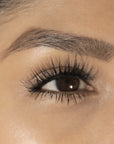 LashSense® Lashes Bloom Box