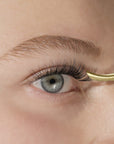 LashSense® Lashes Bloom Box
