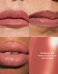 Quad panel lip swatches of Cinnamon Silk earthy bronzed mauve with rich depth