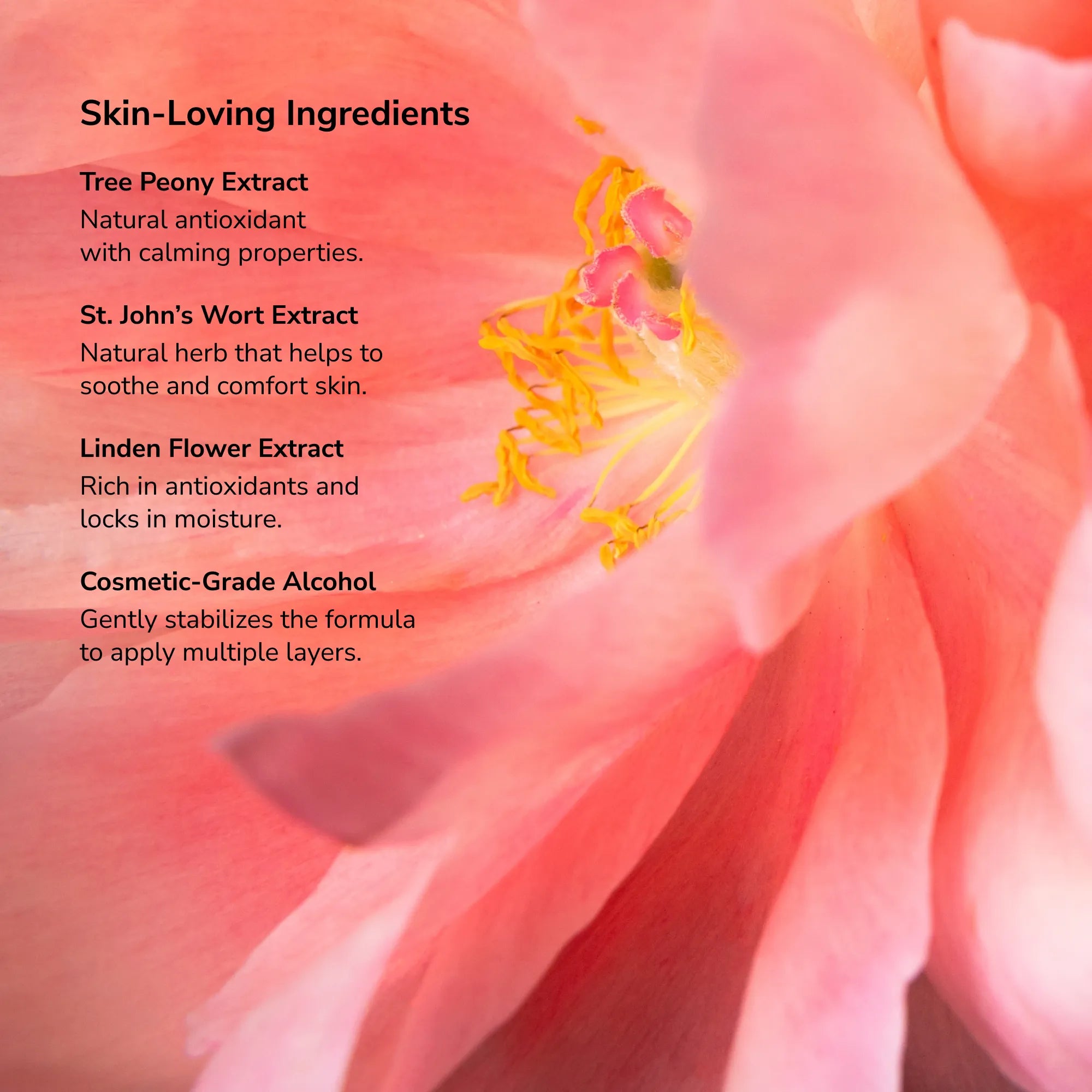 LipSense Lip Color Ingredients